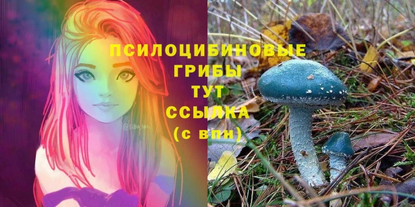 кокс Богородск