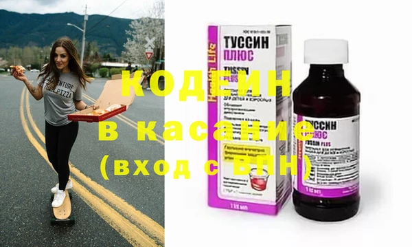 прущие грибы Бронницы