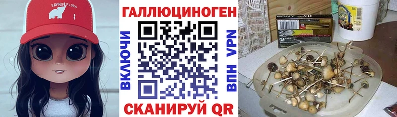 Галлюциногенные грибы прущие грибы Щёлково